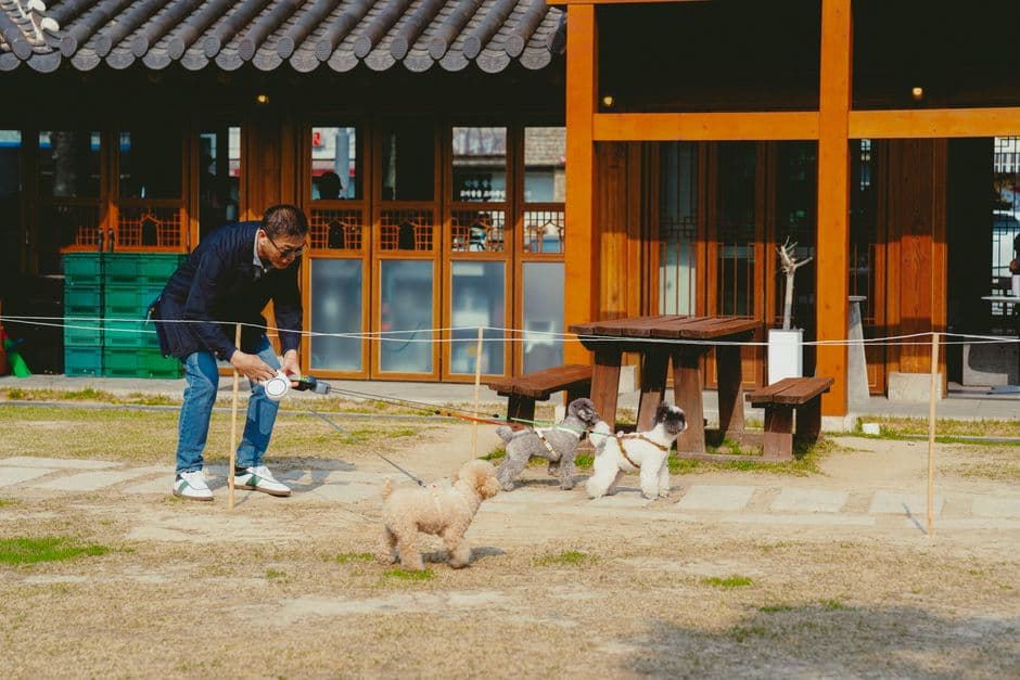일상 기록 대표 이미지