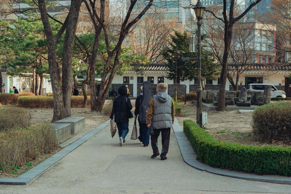 점심 도시락 — 간단하지만 정성스럽게